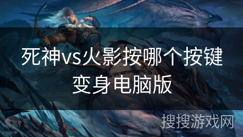 死神vs火影按哪个按键变身电脑版