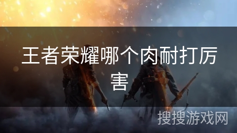 王者荣耀哪个肉耐打厉害