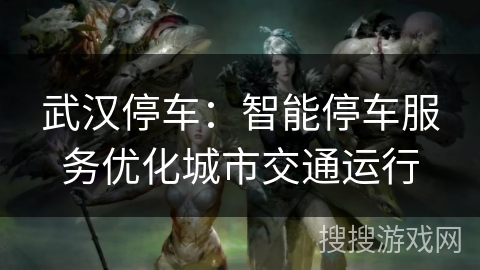 武汉停车：智能停车服务优化城市交通运行