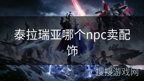 泰拉瑞亚哪个npc卖配饰