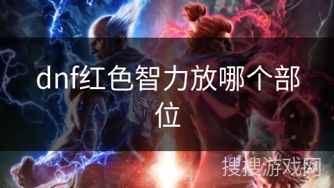 dnf红色智力放哪个部位
