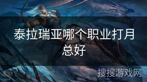 泰拉瑞亚哪个职业打月总好