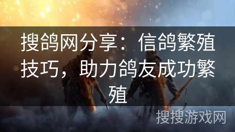 搜鸽网分享：信鸽繁殖技巧，助力鸽友成功繁殖