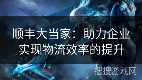 顺丰大当家：助力企业实现物流效率的提升