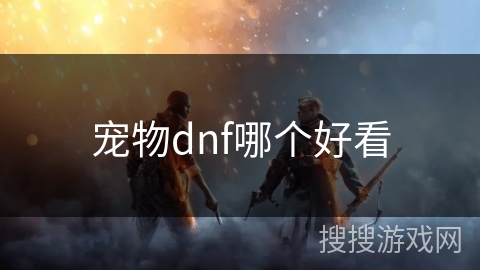 宠物dnf哪个好看