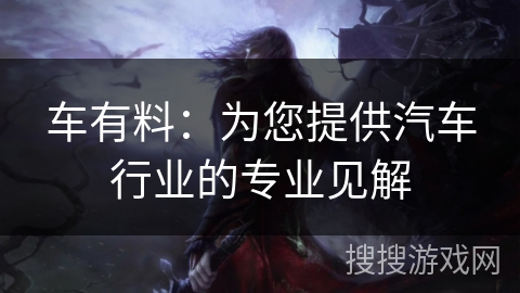 车有料：为您提供汽车行业的专业见解