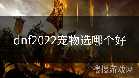 dnf2022宠物选哪个好 dnf2022宠物选哪个好
