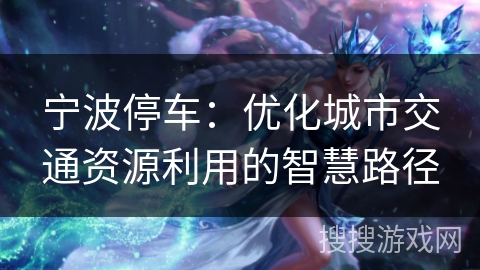 宁波停车：优化城市交通资源利用的智慧路径