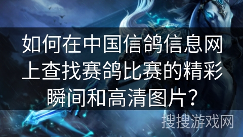 如何在中国信鸽信息网上查找赛鸽比赛的精彩瞬间和高清图片? 如何在中国信鸽信息网上查找赛鸽比赛的精彩瞬间和高清图片?
