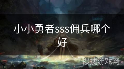 小小勇者sss佣兵哪个好