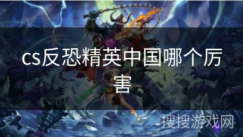cs反恐精英中国哪个厉害