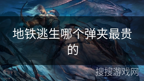 地铁逃生哪个弹夹最贵的