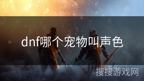 dnf哪个宠物叫声色