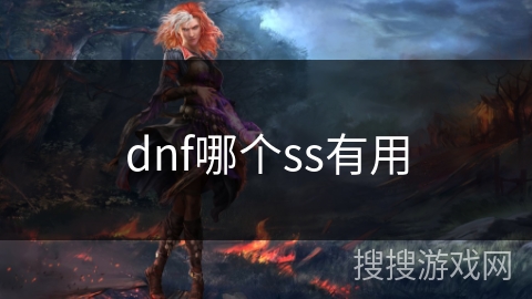 dnf哪个ss有用