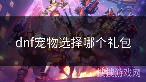 dnf宠物选择哪个礼包 dnf宠物选择哪个礼包