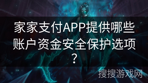家家支付APP提供哪些账户资金安全保护选项？