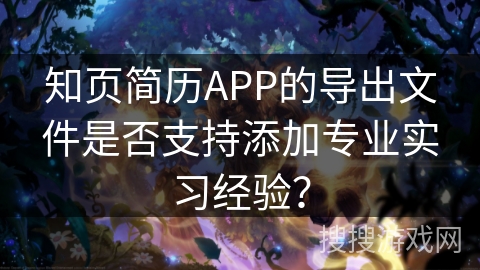 知页简历APP的导出文件是否支持添加专业实习经验？