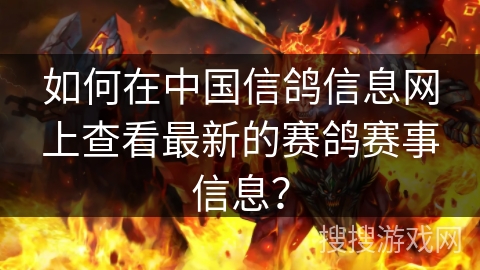 如何在中国信鸽信息网上查看最新的赛鸽赛事信息？