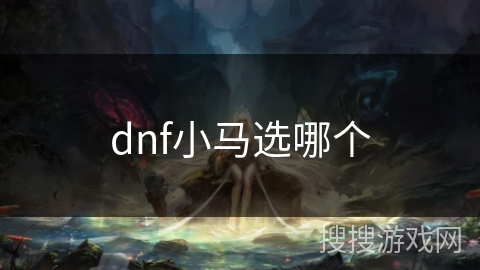 dnf小马选哪个