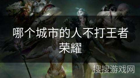 哪个城市的人不打王者荣耀