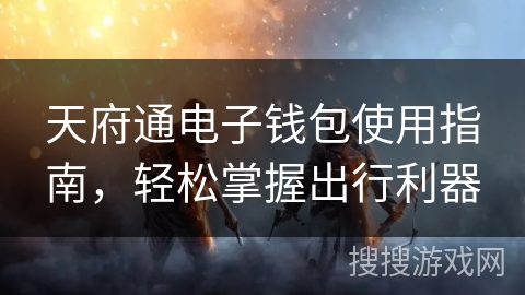 天府通电子钱包使用指南，轻松掌握出行利器