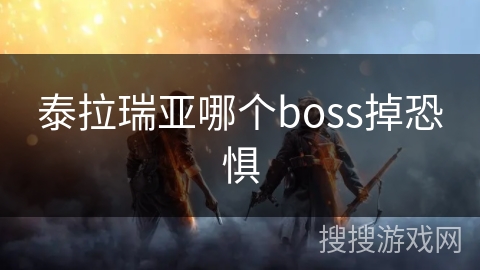 泰拉瑞亚哪个boss掉恐惧