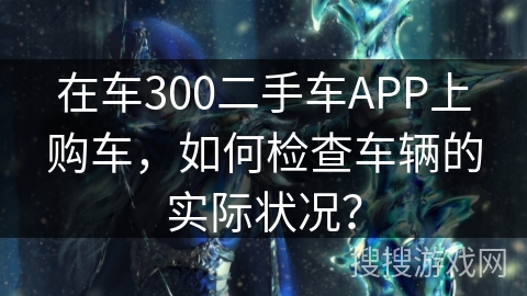 在车300二手车APP上购车，如何检查车辆的实际状况？