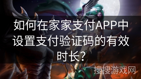 如何在家家支付APP中设置支付验证码的有效时长？