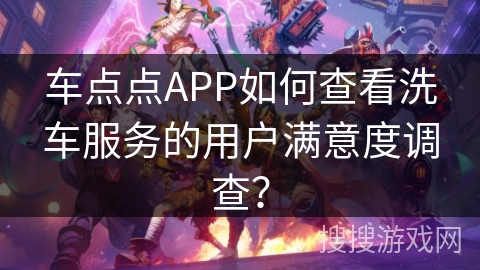 车点点APP如何查看洗车服务的用户满意度调查？