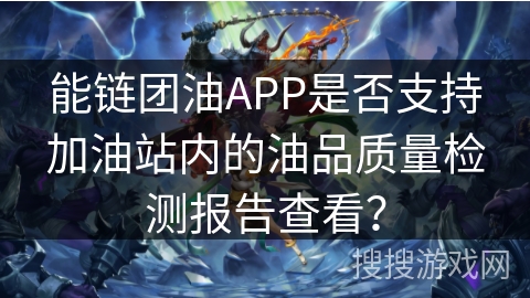 能链团油APP是否支持加油站内的油品质量检测报告查看？