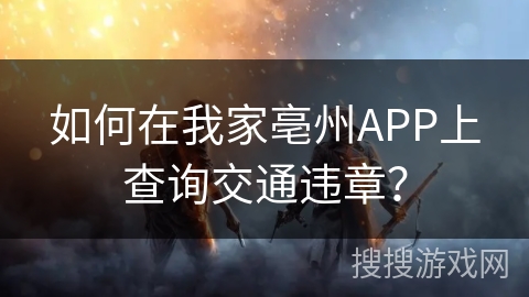 如何在我家亳州APP上查询交通违章？