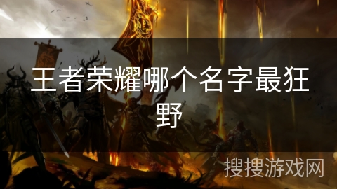 王者荣耀哪个名字最狂野