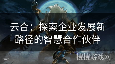 云合：探索企业发展新路径的智慧合作伙伴