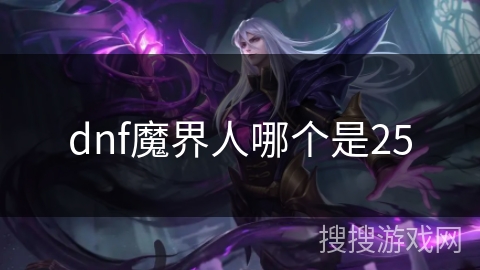 dnf魔界人哪个是25