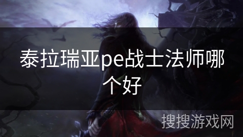 泰拉瑞亚pe战士法师哪个好