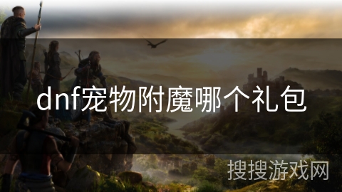 dnf宠物附魔哪个礼包