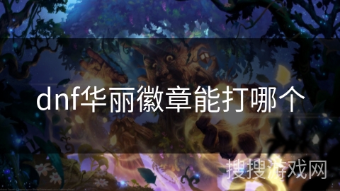 dnf华丽徽章能打哪个