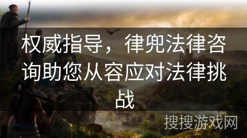 权威指导，律兜法律咨询助您从容应对法律挑战