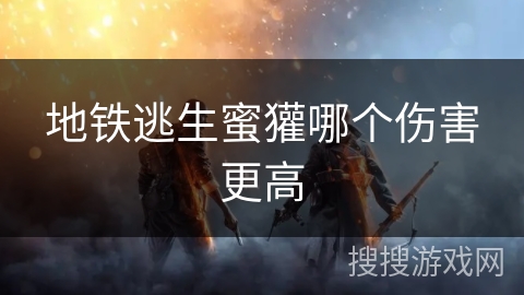 地铁逃生蜜獾哪个伤害更高