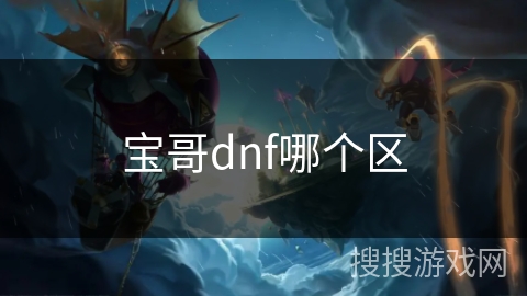 宝哥dnf哪个区