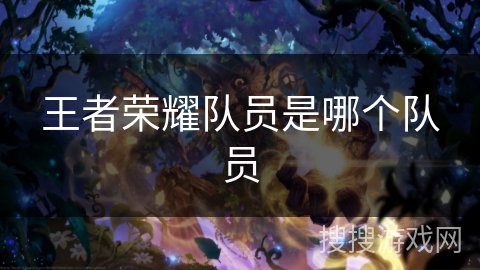 王者荣耀队员是哪个队员