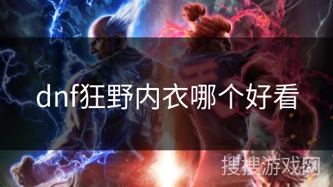 dnf狂野内衣哪个好看