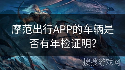 摩范出行APP的车辆是否有年检证明？