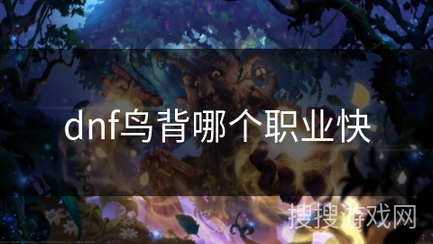 dnf鸟背哪个职业快
