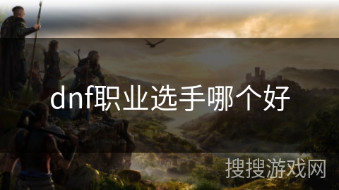 dnf职业选手哪个好