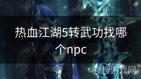 热血江湖5转武功找哪个npc 热血江湖5转武功找哪个npc