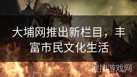 大埔网推出新栏目，丰富市民文化生活