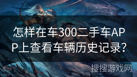 怎样在车300二手车APP上查看车辆历史记录？