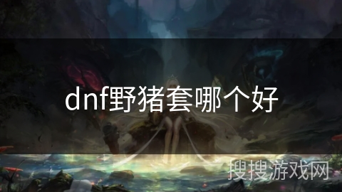 dnf野猪套哪个好