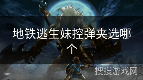 地铁逃生妹控弹夹选哪个